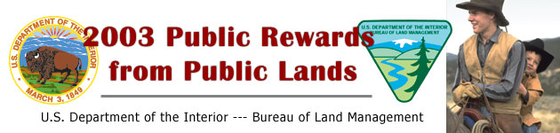 DOI/BLM 2003 Public Rewards from Public Lands 