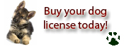 Dog Licensing in Sussex County