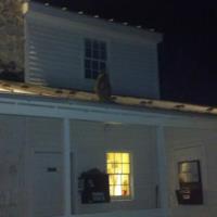Photo: Yes that is Owlbert up on the roof at the Nature Center.  Free flight at night---very special.