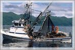 Alaska's Fisheries