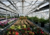The U.S. Botanic Garden Production Facility full of plants