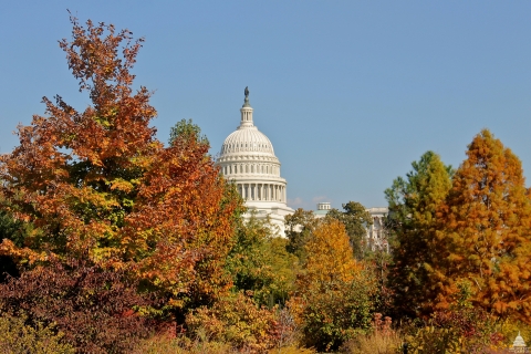The Capitol Dome in Fall 2012