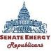 Senate Energy GOP
