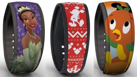 Is Disney World's Top Rival About to Make MagicBands Obsolete?