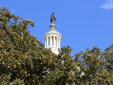 Statue of Freedom atop the Capitol Dome visible above the trees.