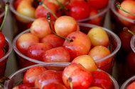 The National Cherry festival takes place in Traverse City, Mich.
