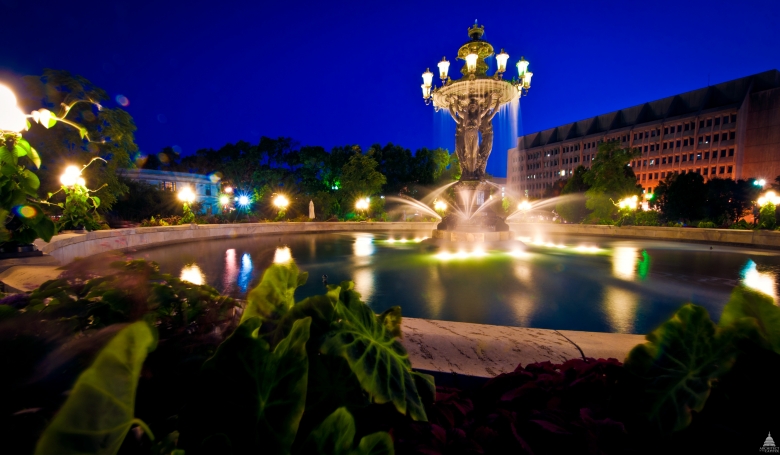 Bartholdi Park and Fountain at night surrounded by plant life.