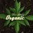 The Daily Organic