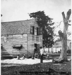 The cotton gin made large-scale production of cotton profitable