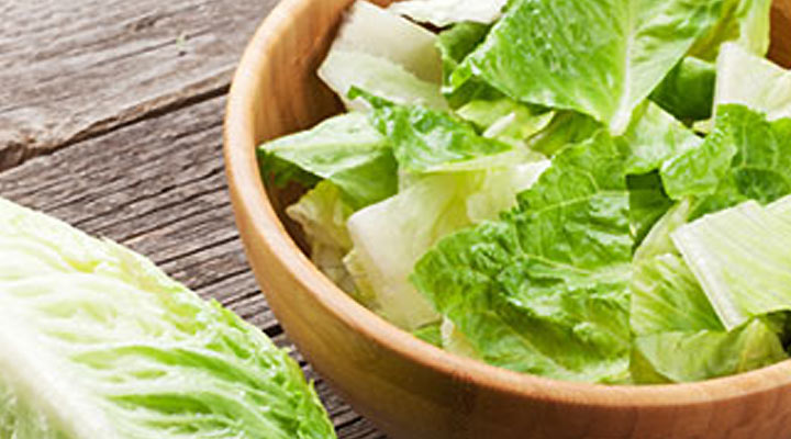 Head of romaine lettuce and a bowl of chopped romaine lettuce
