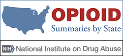 Opioid Summaries by State