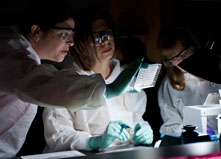 Scientists working on lab