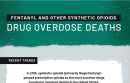 Fentanyl and Other Synthetic Opioids Drug Overdose Deaths