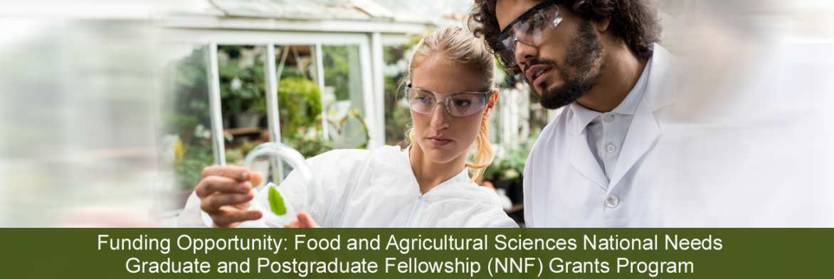 Funding Opportunity: Food and Agricultural Sciences National Needs Graduate and Postgraduate Fellowship (NNF) Grants Program. Image of student learning from researcher, courtesy of Getty Images.