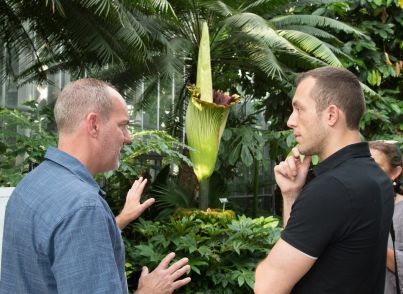 The USBG's Bill McLaughlin and Devin Dotson with Corpse Flower (Amorphophallus titanum) 2016.