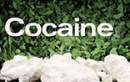 Publication: Research Report Series - Cocaine