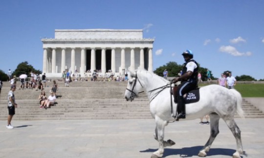 Day in the Life: U.S. Park Police Mounted Unit Officer 