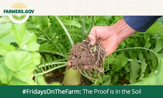FridaysonTheFarm The Proof is in the Soil