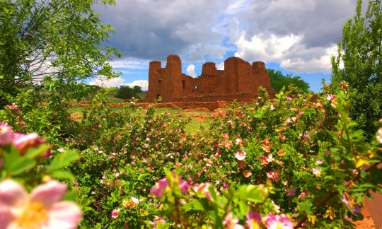 The ruins of a large red brick building stand in a field bordered by bright pink flowers.
