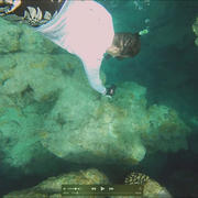 Underwater photograph of USGS oceanographer Curt Storlazzi exploring diseased corals in Hawaii.