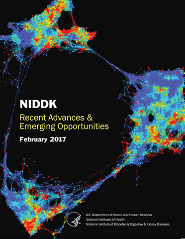 NIDDK Recent Advances and Emerging Opportunities 2017 report cover