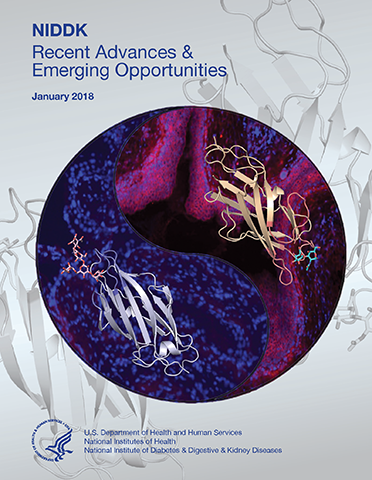 NIDDK Recent Advances and Emerging Opportunities 2018 Report Cover