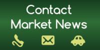 Contact Market News