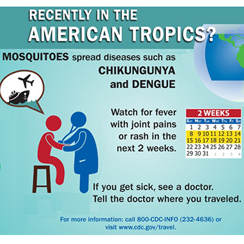 Infographic: Recently in the American Tropics?