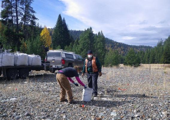 Forest Service researchers Sierra Larson and Joanne Tirocke apply biochar on an abandoned gold mine dredge site