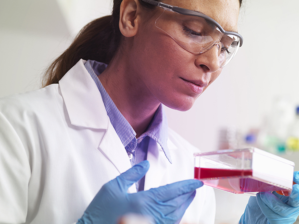 Female scientist examining cell culture