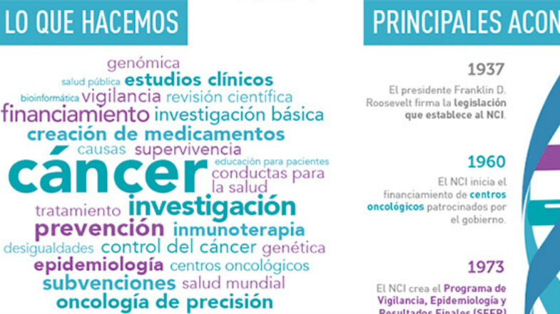 Spanish NCI at a Glance Infographic