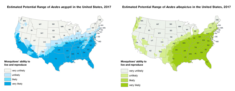 Two maps of the United States showing Aedes aegypti and Aedes albopictus mosquitoes are or have been previously found.  Aedes aegypti range is the southern half of the United States.  Aedes albopictus range is the eastern half of the United States as well as the southwest.
