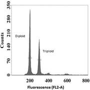 Fig. 1. A flow cytometric histogram of larval Grass Carp cells