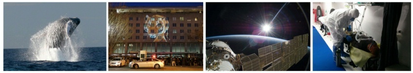 Date: 2017 Description: L to R: Humpback whale breaches in Hawaiian Islands Humpback Whale National Marine Sanctuary, NOAA Image, Tiger projected onto Harry S. Truman building during Wildlife Spotlight, State Dept. Image. The sun greets the International Space Station, NASA Image. During Tranquil Surge training exercise, medical staff attend to a patient in a Containerized Bio-Containment System unit, State Dept Image © Multiple Sources