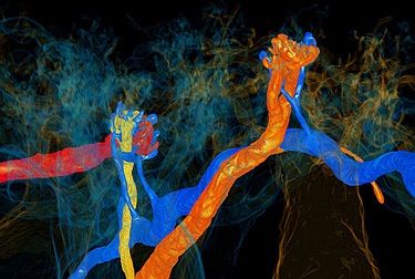 A 3D close-up of neural connections within the retina. Several bipolar and horizontal cell dendrites are connected to two cone photoreceptors. The image was generated from serial scans of the ground squirrel retina using an electron microscope. Courtesy: Retinal Neurophysiology Section, Dr. Wei Li, Chief; image created by summer intern Yizhen Zhang, finalist in the 2015 Intel Science Talent Search.