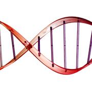 A DNA strand illustration