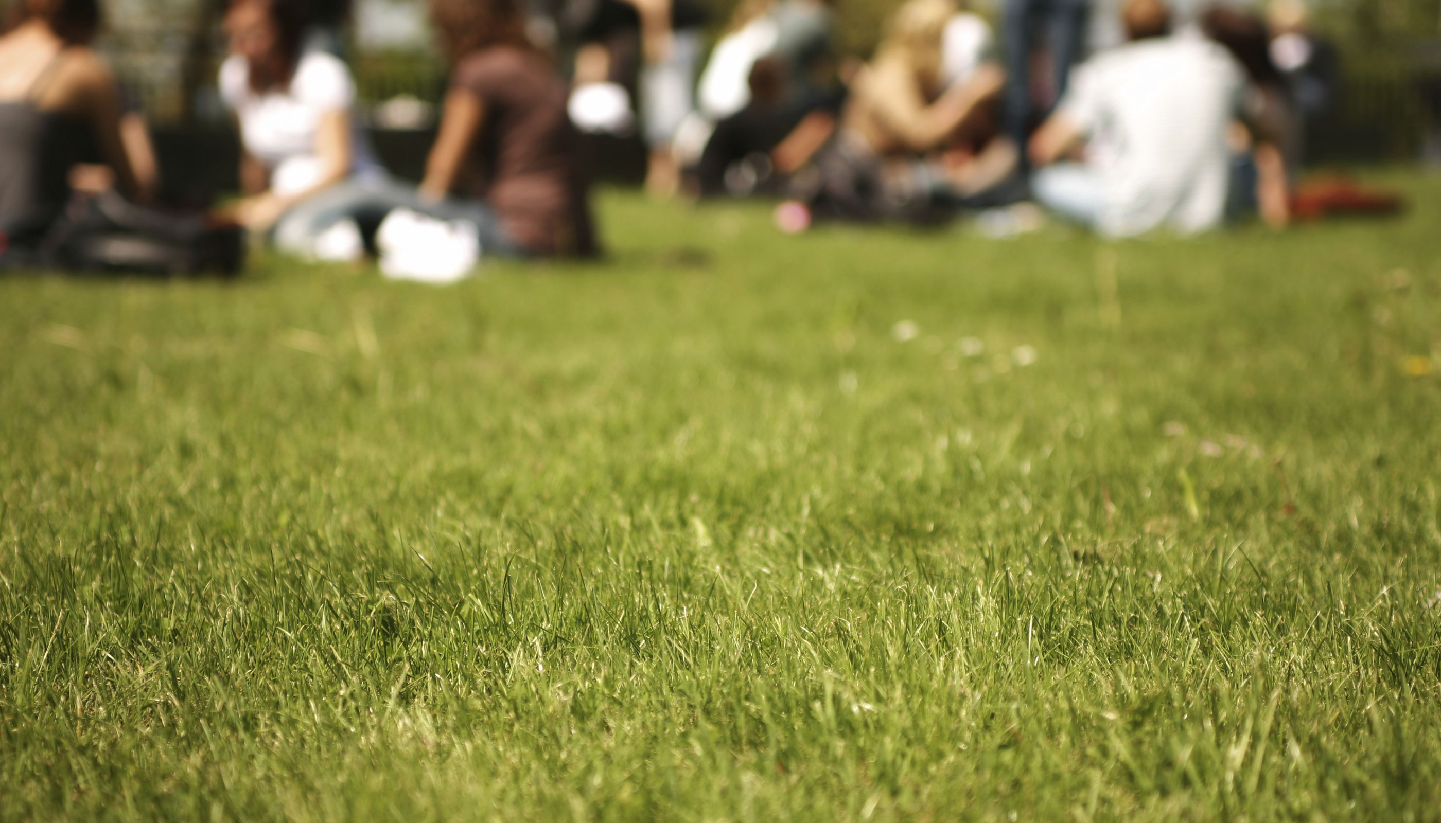 Students in small groups sit on the lawn in a college campus.