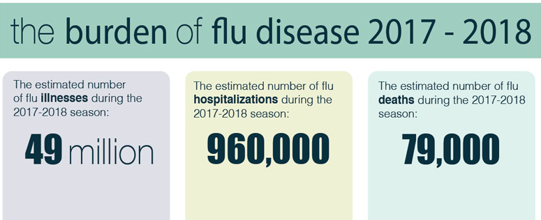 the burden of flu disease 2017-2018