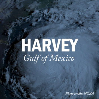 Cover Image for Hurricane Harvey album