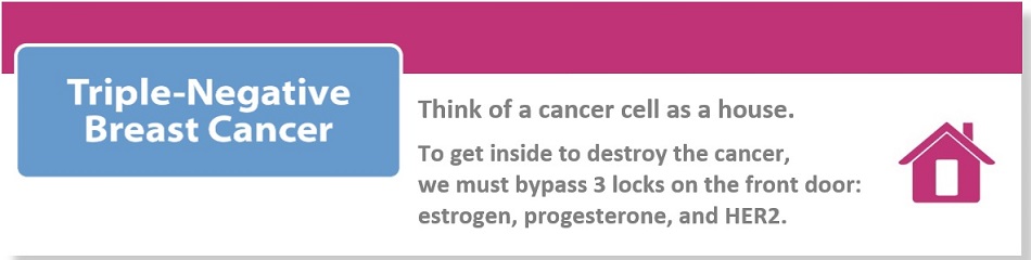 Triple-negative breast cancer: Think of a cancer cell as a house. To get inside to destroy the cancer, we must bypass 3 locks on the front door: estrogen, progesterone, and HER2.