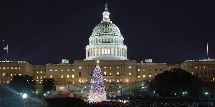 Capitol Christmas tree in front of the Capitol building