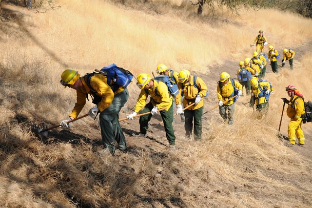 California National Guard Soldiers in a field, doing CAL FIRE hand crew training