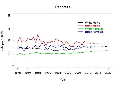 Graph showing actual and projected incidence rates for pancreatic cancer by race and sex, United States, 1975 to 2020