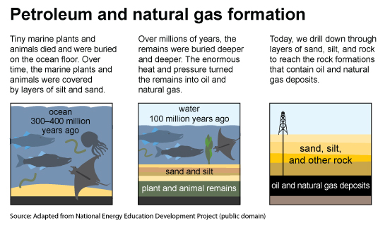 Three images,  about Petroleum & Natural Gas Formation. Adapted from the National Energy Education Development Project.
              The first image is about the Ocean 300 to 400 million years ago. Tiny sea plants and animals died and were buried on the ocean floor. Over time, they were covered by layers of sand and silt.
              The second image is about the Ocean 50 to 100 million years ago. Over millions of years, the remains were buried deeper and deeper. The enormous heat and pressure turned them into oil and gas.
              The third image is about Oil & Gas Deposits. Today, we drill down through layers of sand, silt, and rock to reach the rock formations that contain oil and gas deposits.