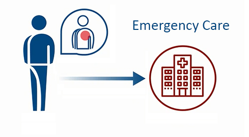 VA Emergency Medical Care