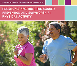 Promising Practices for Cancer Prevention and Survivorship: Physical Activity