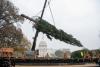 The 80-foot-tall noble fir hoisted into place by a crane on the West Front Lawn of the U.S. Capitol
