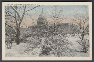 Capitol in Winter, Washington, D.C.