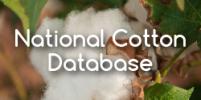 National Cotton Database