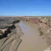 Erosion along the Rio Puerco during the flood of 2006 following herbicide application to control saltcedar in 2003. 